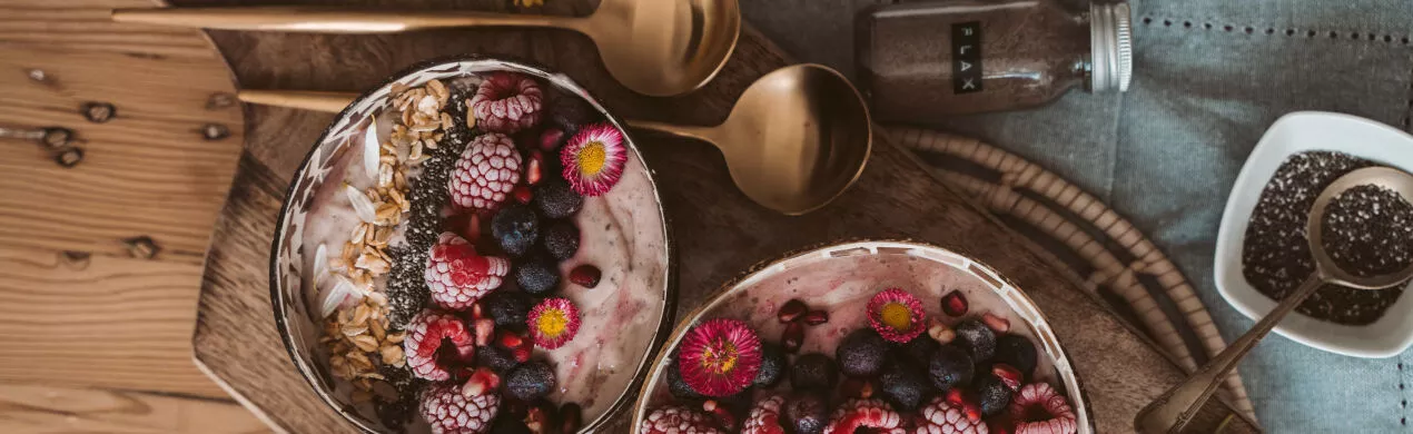 Fornecedores, Fabricantes e Vendedores de Açaí