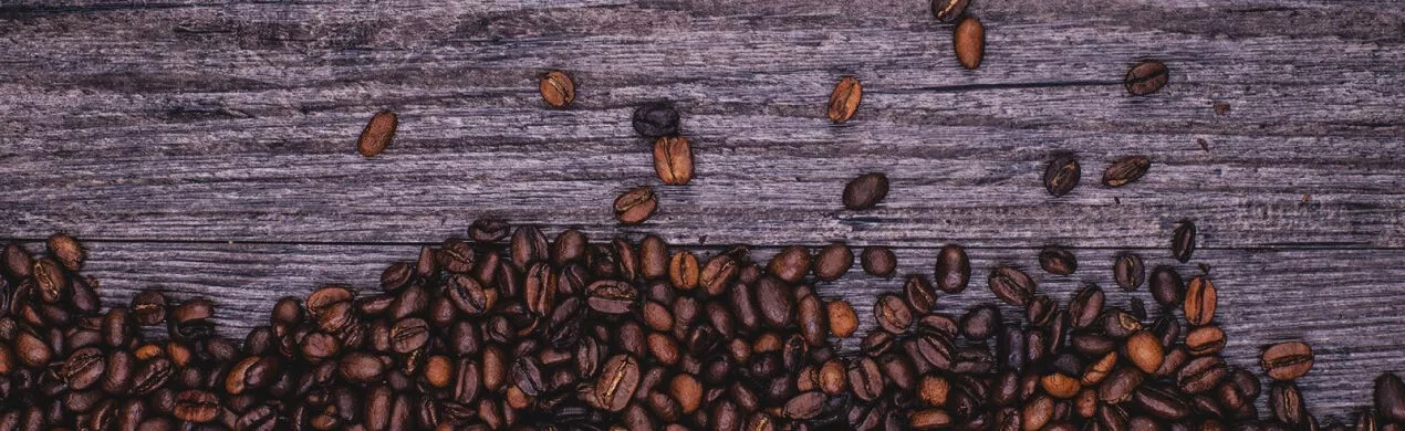 Fornecedores de café, grãos de café por atacado