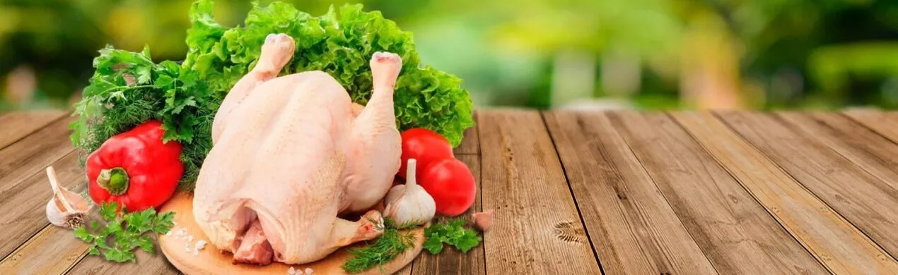 Fornecedores de Frango - Aves por Atacado - Frango Halal