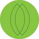 organicagroupsarl