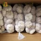 baltonandsonialtd