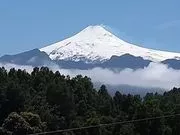 snowyhillexporter