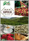 cafesapucailtda