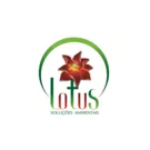 lotussolucoes