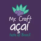 mrcraftbrasil