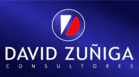 dzconsultores