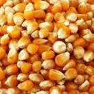 unigrainptyltd