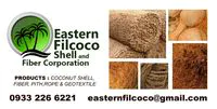easternfilcoco