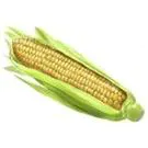 pefralagro