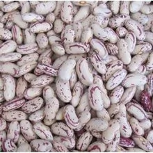 imagem dos produtos