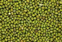 Feijão mungo verde premium: frescor e sabor garantidos