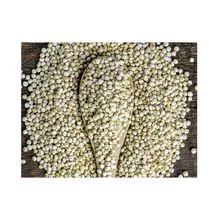 Grãos de Sorgo Branco Preço do Sorgo por Tonelada