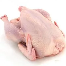 imagem dos produtos