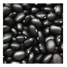 2025 preço de feijão preto orgânico