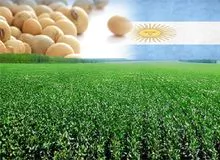 imagem dos produtos