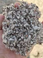 imagem dos produtos