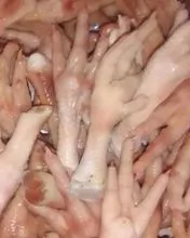imagem dos produtos