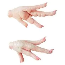 imagem dos produtos