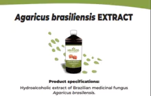 imagem dos produtos