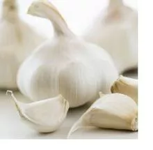 imagem dos produtos