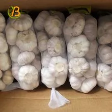 imagem dos produtos
