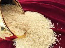 Arroz tailandês do jasmim da qualidade superior, arroz Parfervido tailandês 5%, e arroz do japonica.