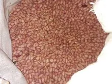 imagem dos produtos
