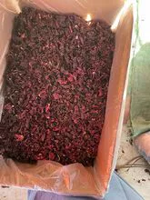 Manjericão. Tomilho, Salsa, Endro, Manjerona, Camomila Sálvia, Calêndula, Hortelã, Hortelã-pimenta, Hibisco 