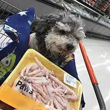 imagem dos produtos
