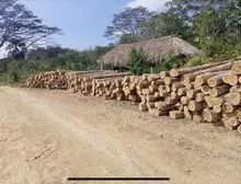 imagem dos produtos
