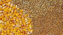 PRODUTOS AGRICOLAS E ALIMENTARES