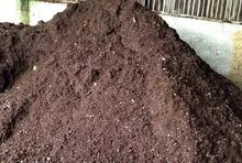 Composto de cogumelos