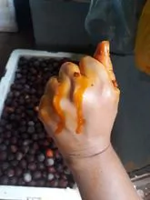 imagem dos produtos