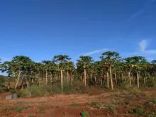 imagem dos produtos