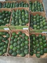 imagem dos produtos