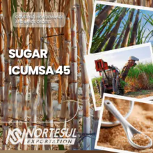 SUGAR ICUMSA 45