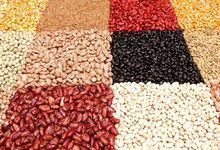 Produtos Agrícolas para Alimentação Alimentar e Alimentos - Especialidades