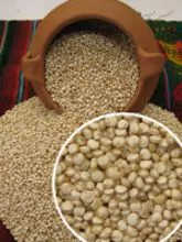 Quinoa