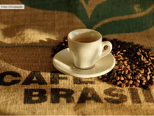 imagem dos produtos