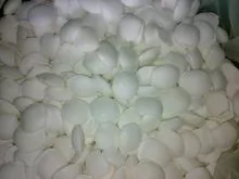 imagem dos produtos