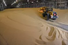 Soja GMO brasileira pronta entrega