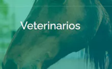 imagem dos produtos