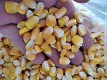imagem dos produtos