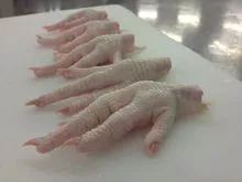 imagem dos produtos