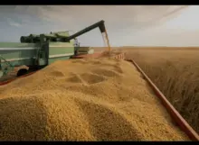 imagem dos produtos