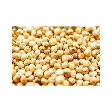 Grãos de sorgo a granel disponíveis no atacado a preços baixos