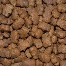 ração para pet