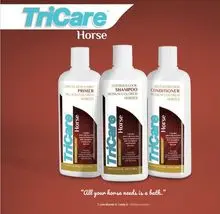 imagem dos produtos
