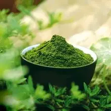 Moringa