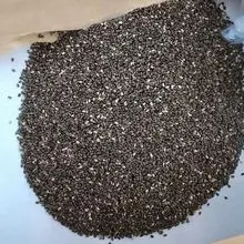 Sementes de chia